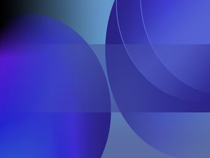 域名竞价技巧：利用数据做决策